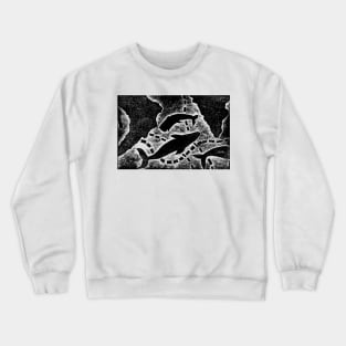 Whale Map Crewneck Sweatshirt